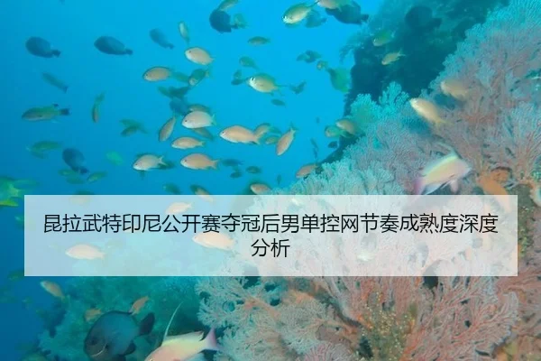 昆拉武特印尼公开赛夺冠后男单控网节奏成熟度深度分析